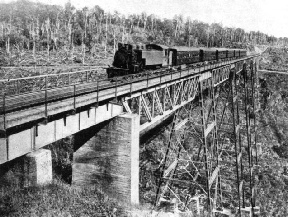 THE HIGHEST BRIDGE IN NEW ZEALAND