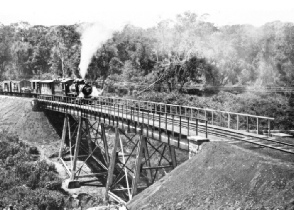 A GLIMPSE OF THE UGANDA JUNGLE PENETRATED BY THE RAILWAY