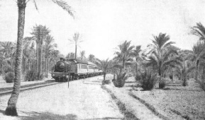 A PASSENGER TRAIN IN EGYPT