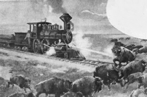 In early days in America herds of buffaloes attacked the trains